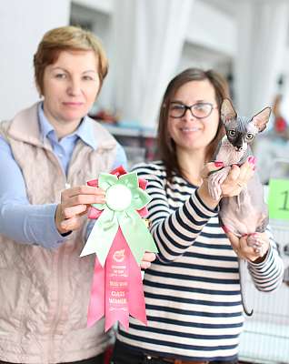 �������� ����� 22-23 ������ 2014, ������������ ��� �������� ����� 22-23 ������ 2014  ������������ ��� 169A9195 copy.jpg